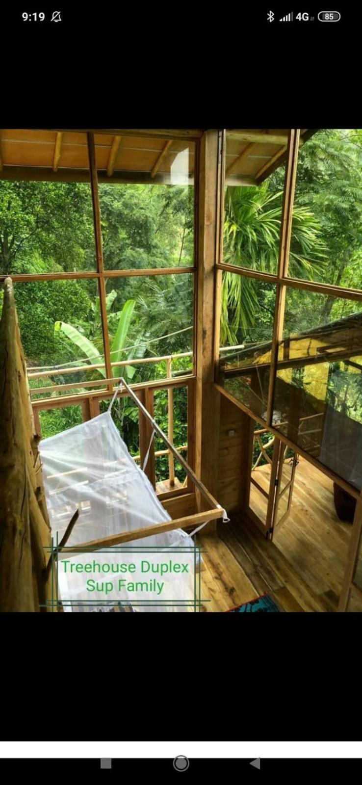 Treehouse * Ella