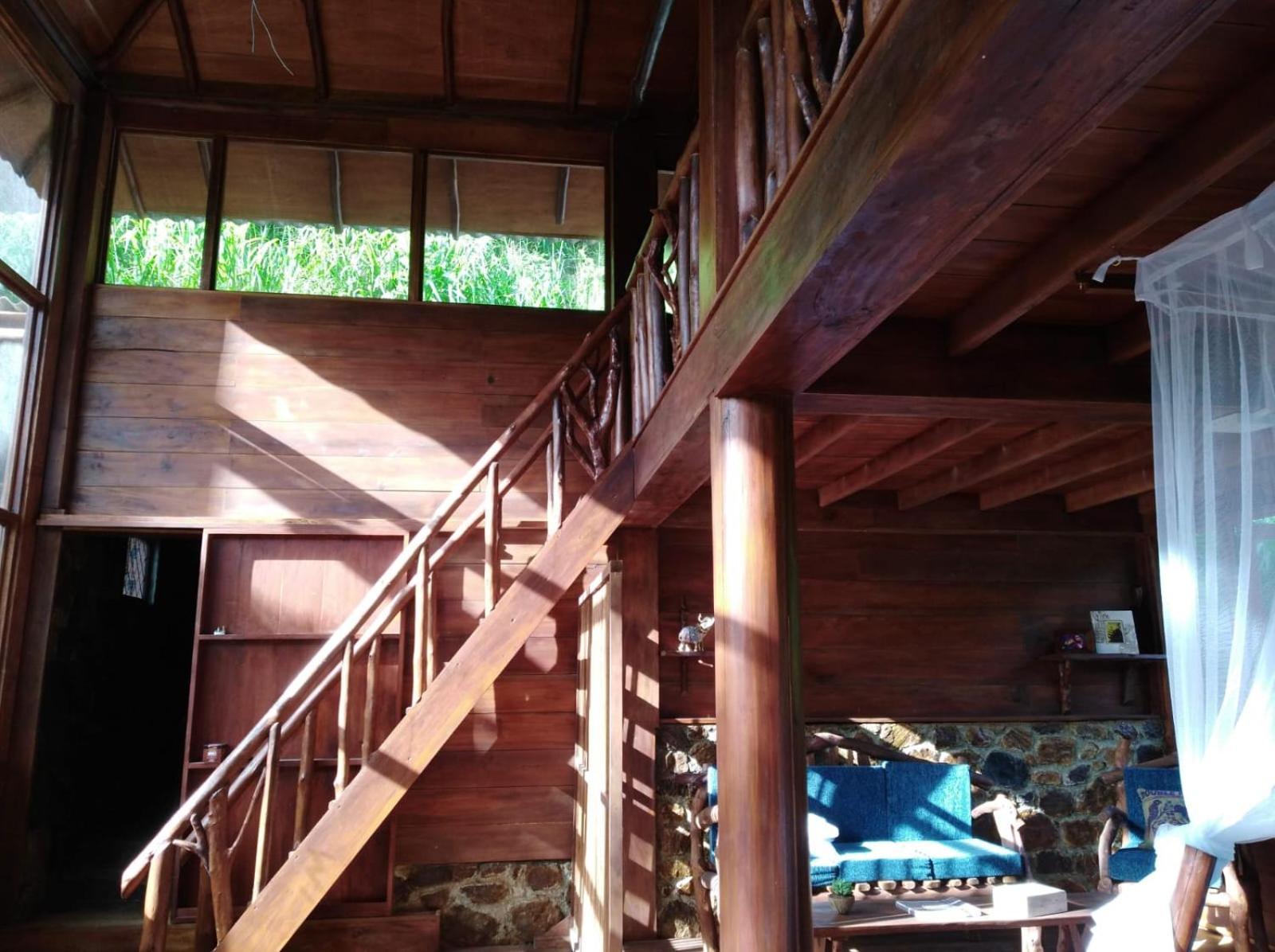 Treehouse Guest house *