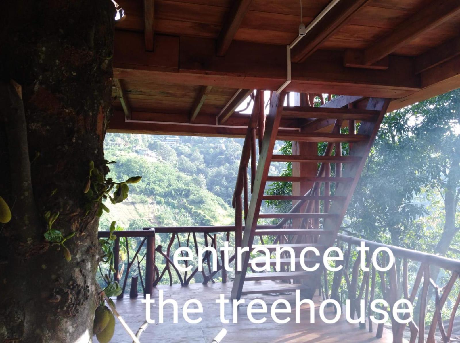 Treehouse