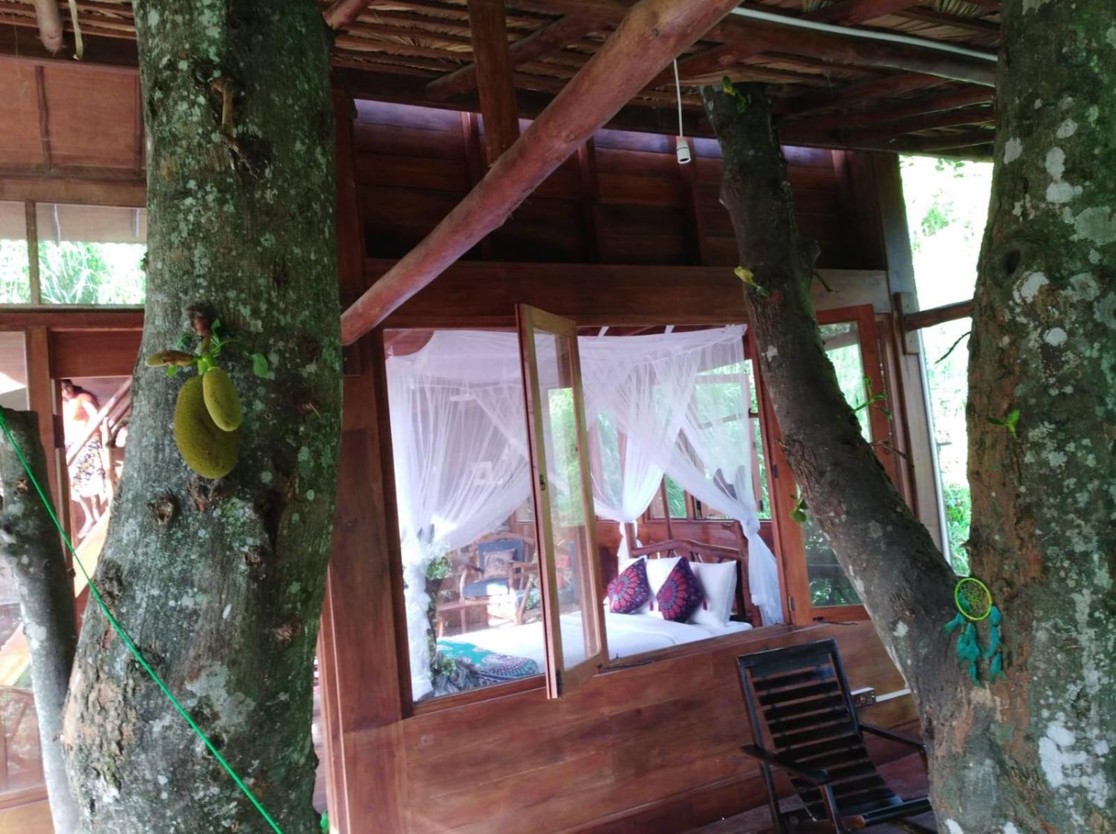 Treehouse Guest house