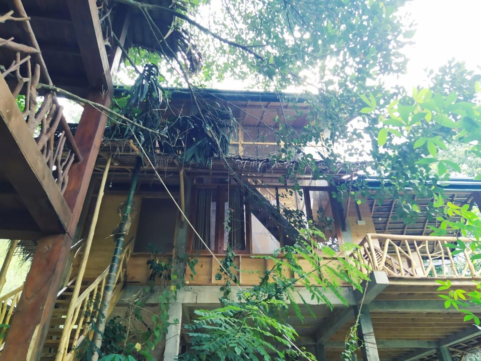 Guest house Treehouse *