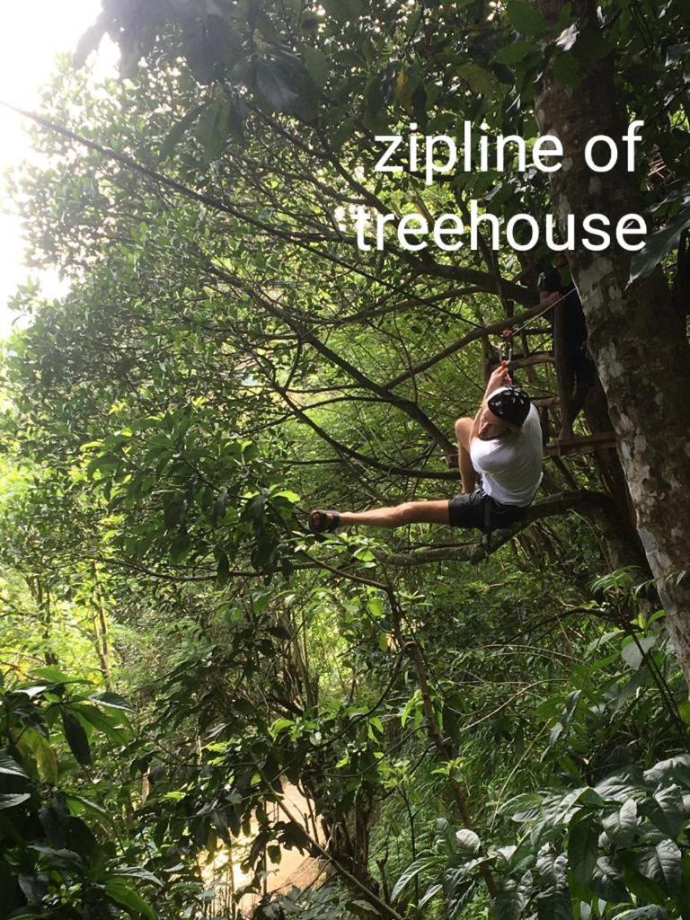 Treehouse Ella