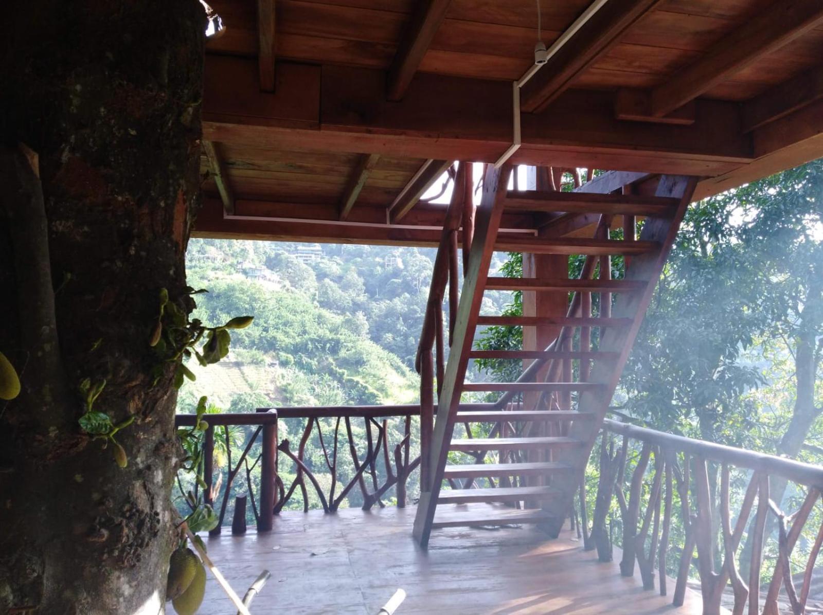 Treehouse Ella