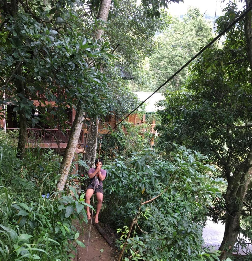 Guest house Treehouse