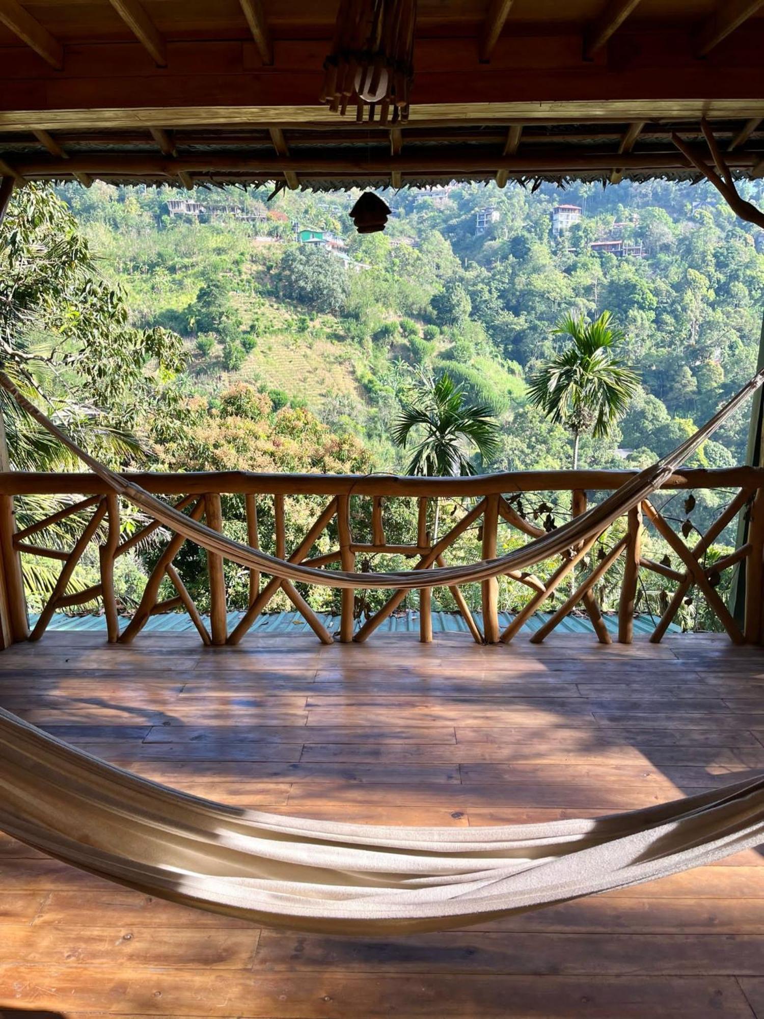 Treehouse Guest house *
