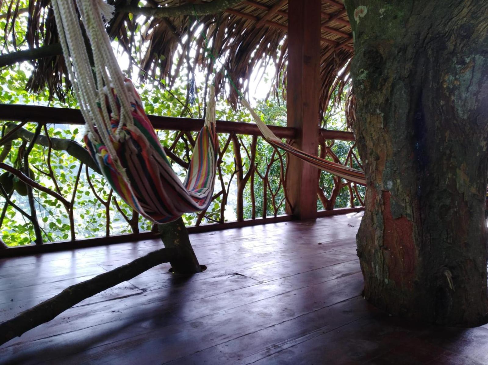 Guest house Treehouse