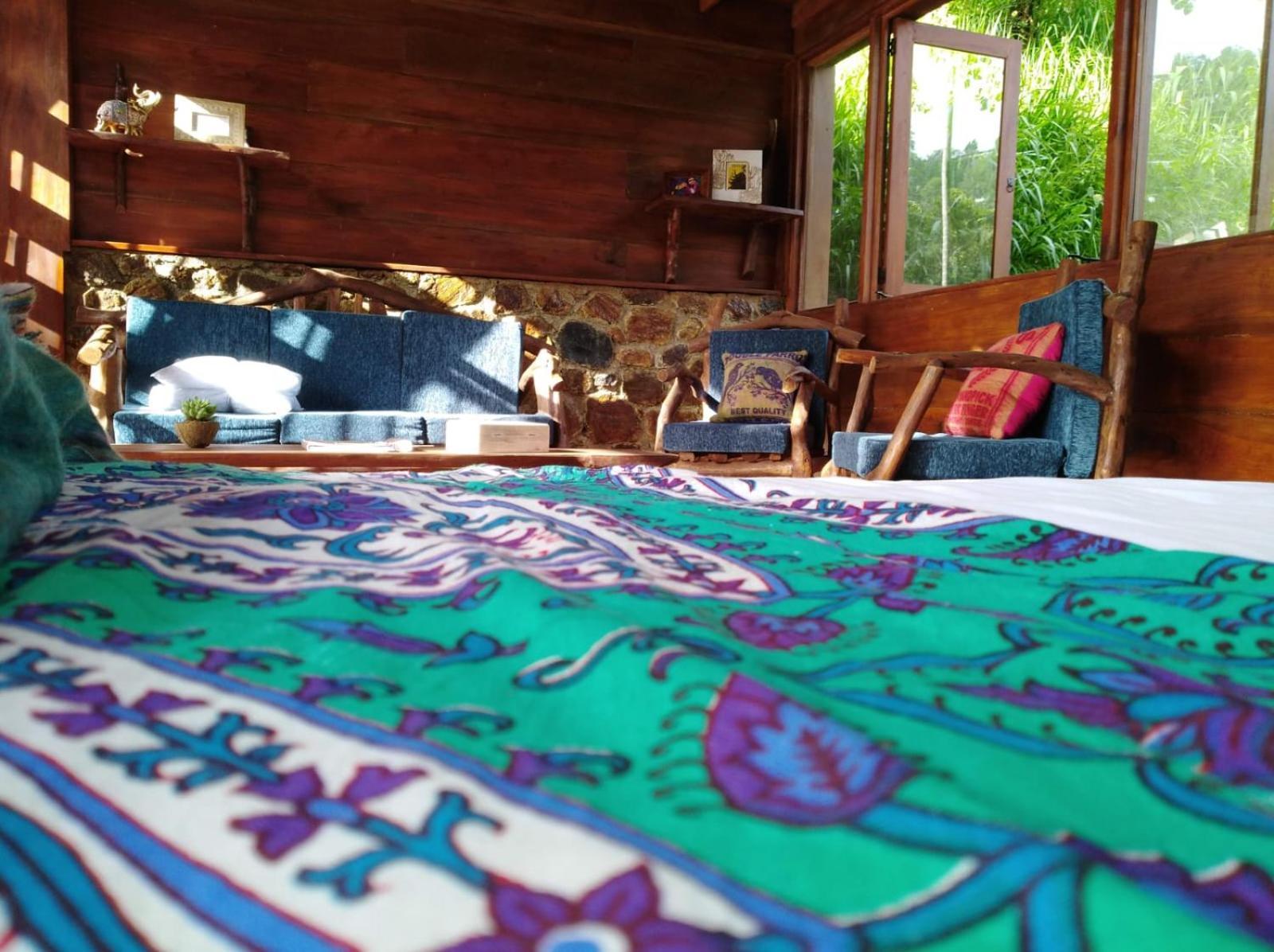 Treehouse Guest house *