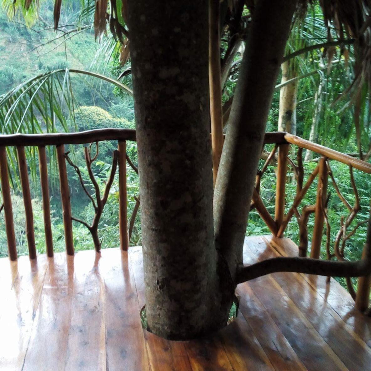 Guest house Treehouse