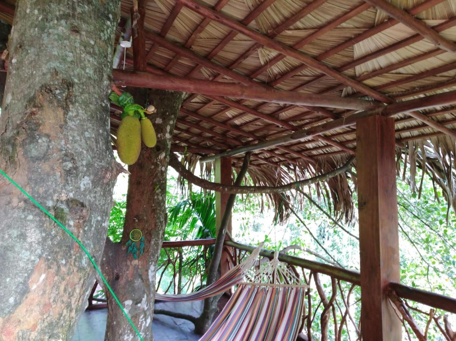 Treehouse Ella