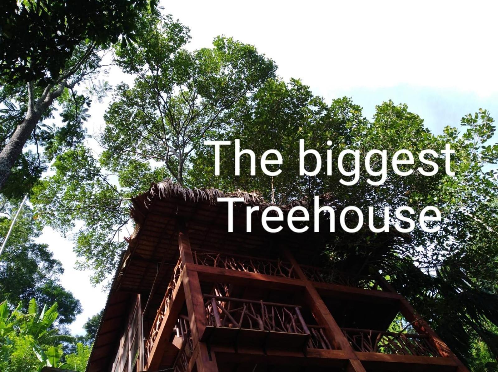 Treehouse Guest house Ella