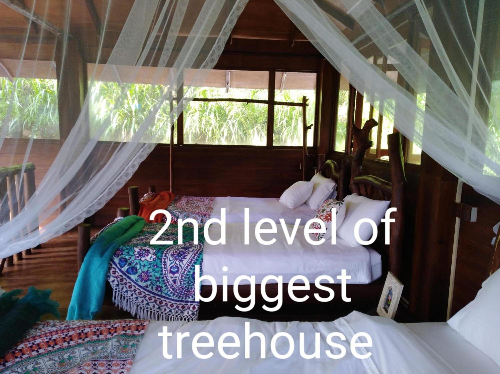 Treehouse *