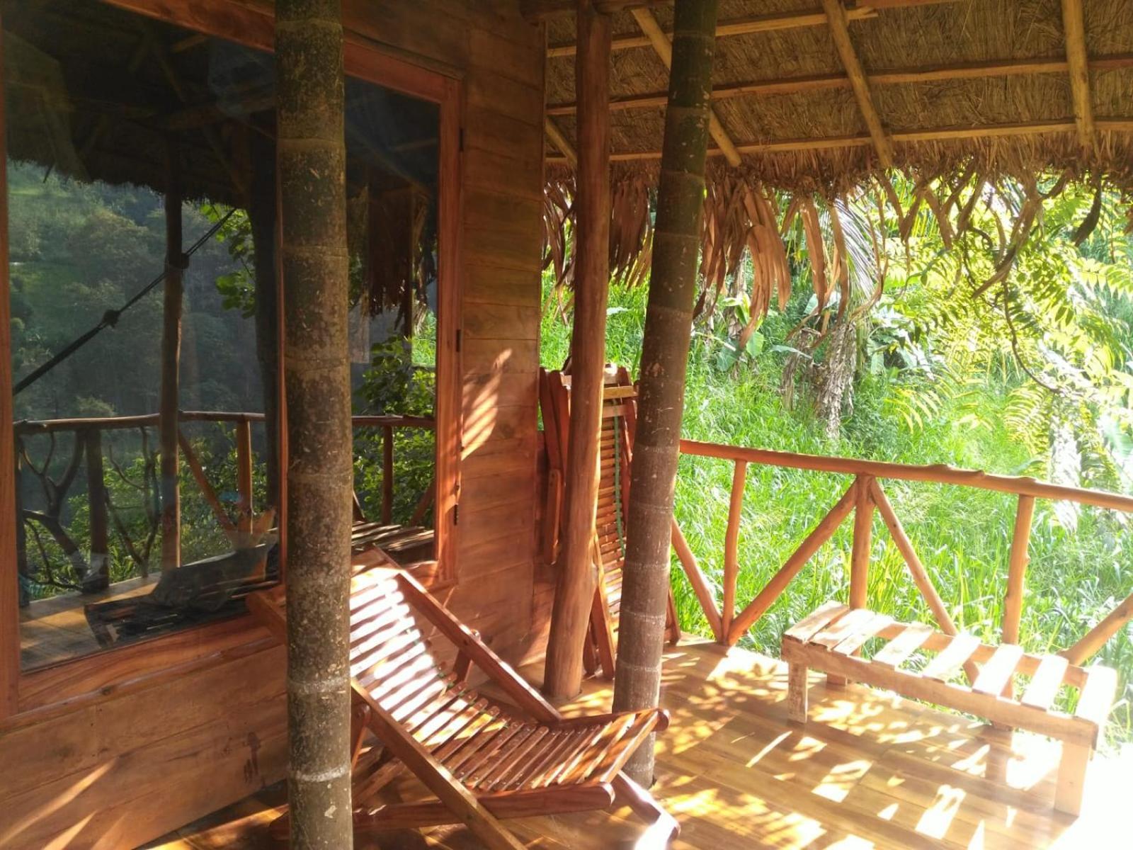 Treehouse Guest house *