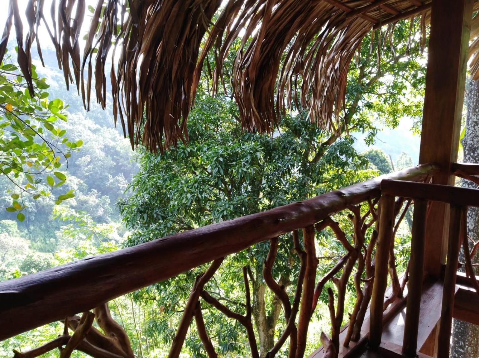 Treehouse Guest house