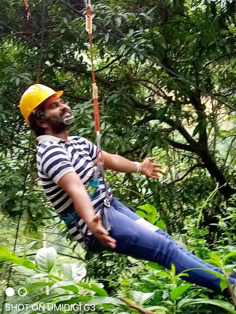 Guest house Treehouse *