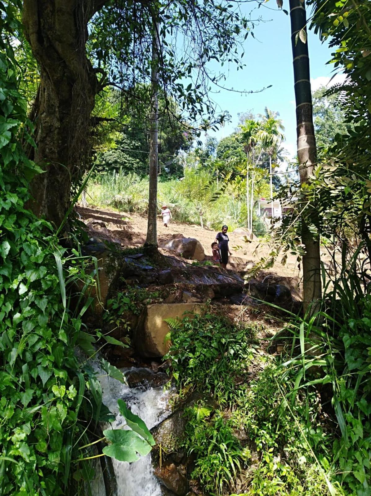 Guest house Treehouse