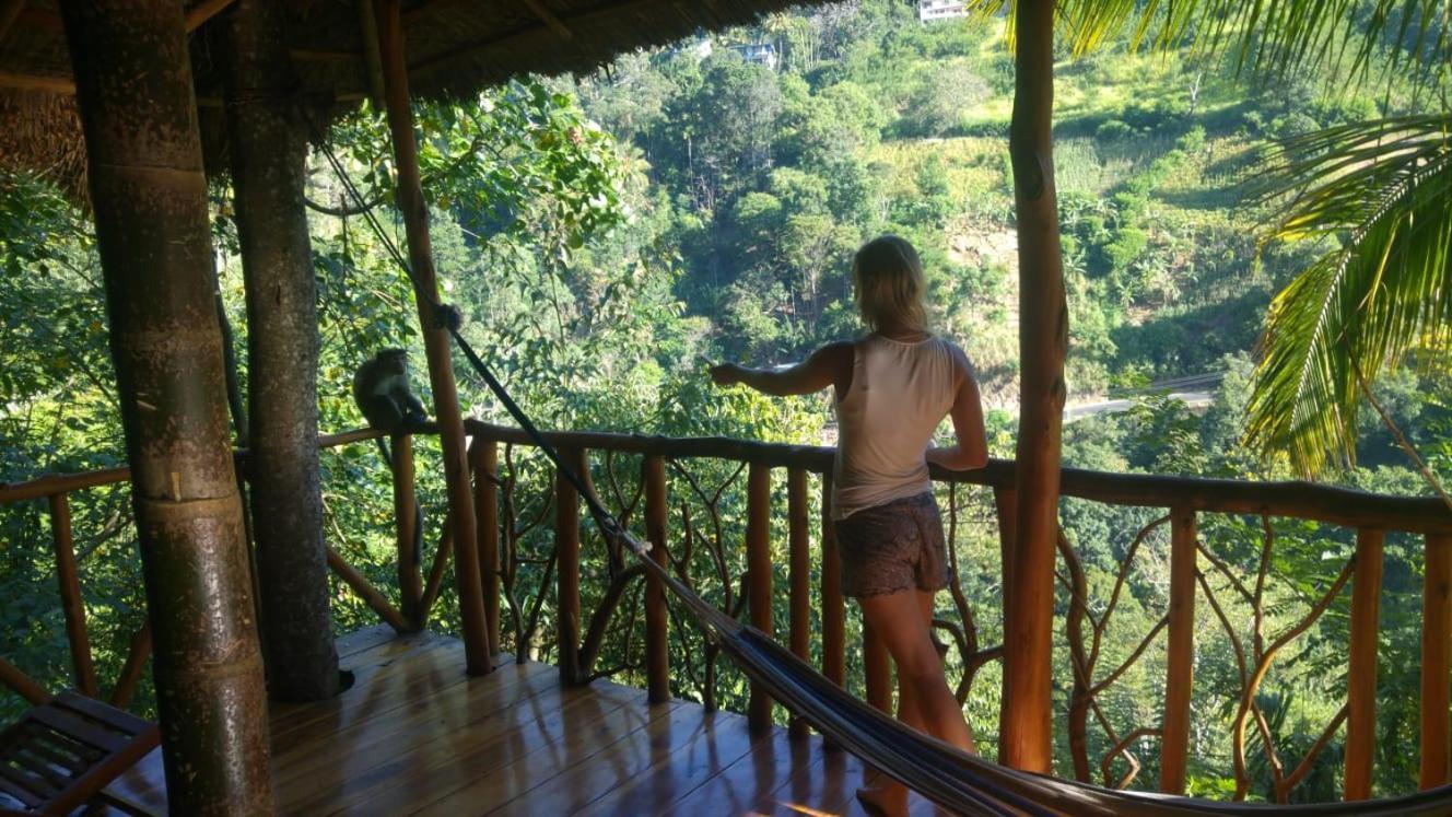 Treehouse Guest house *