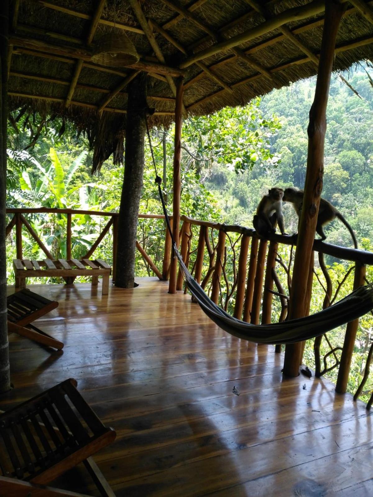 Treehouse * Ella