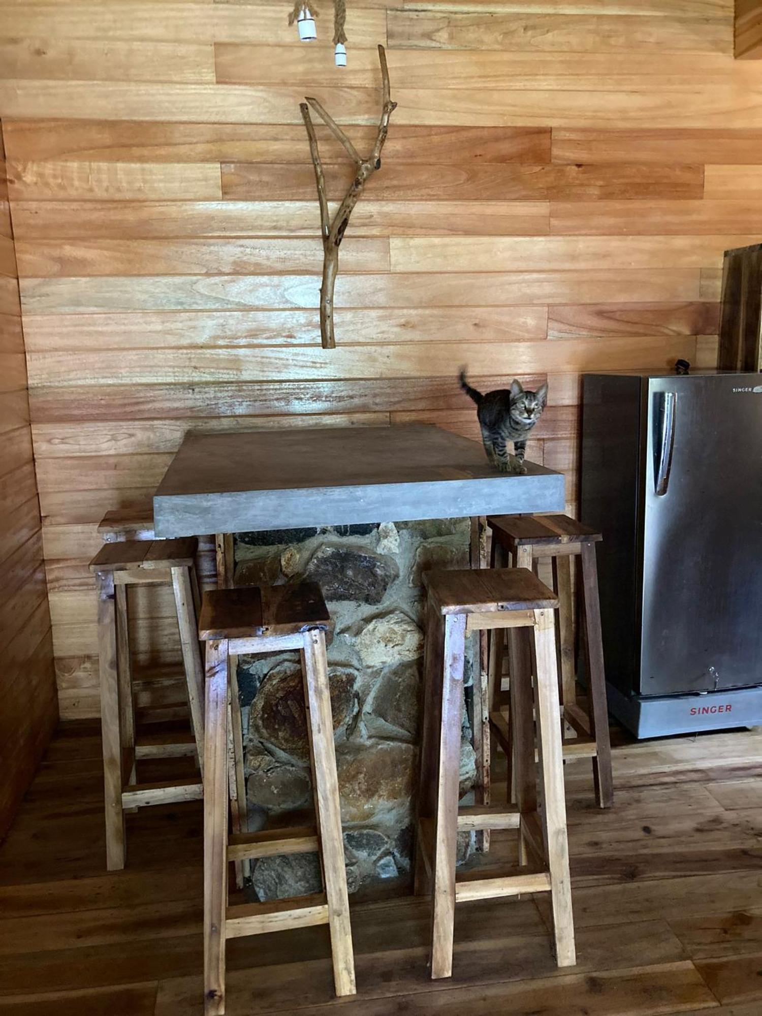 Guest house Treehouse Ella