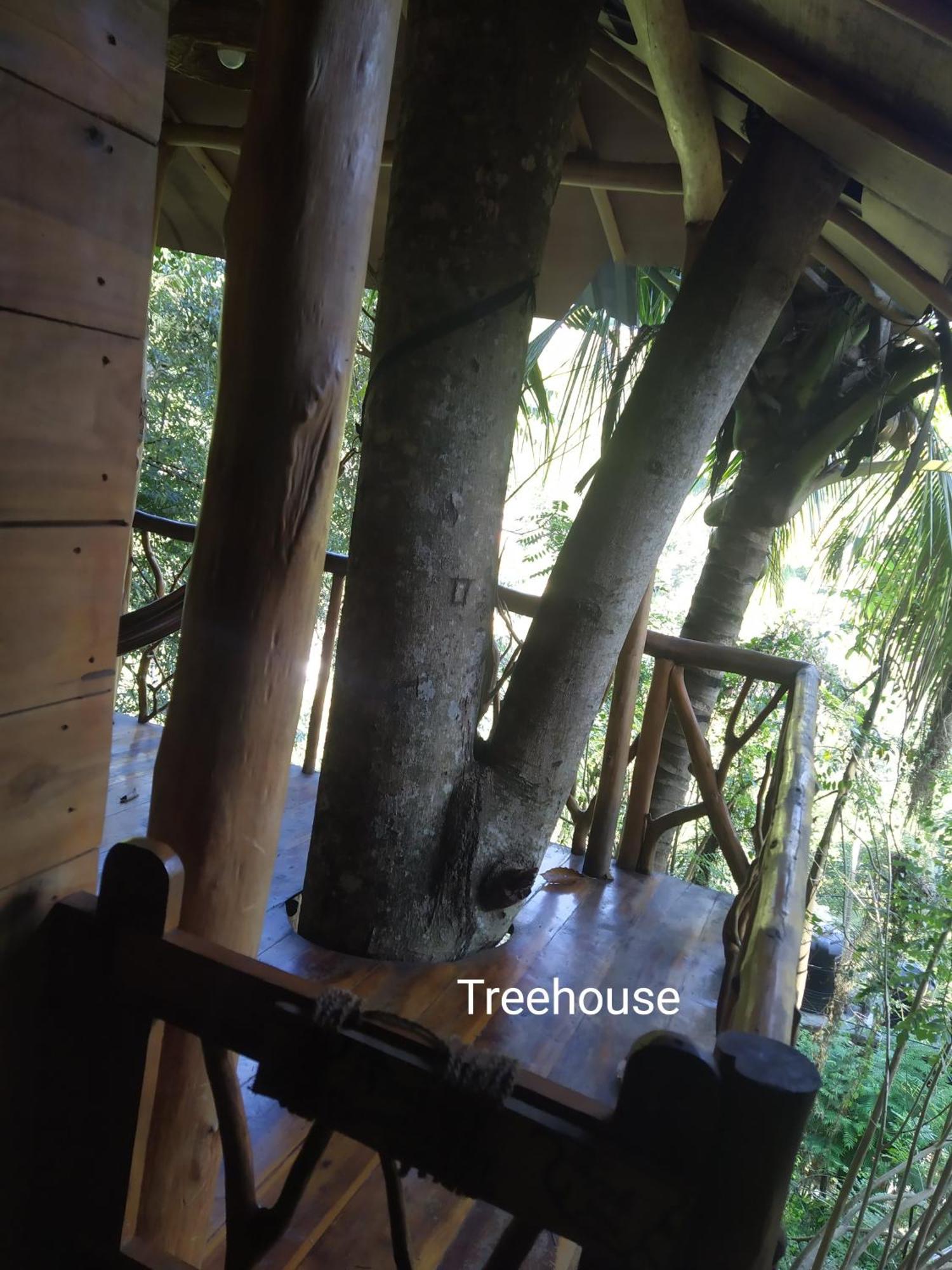 Treehouse Guest house *