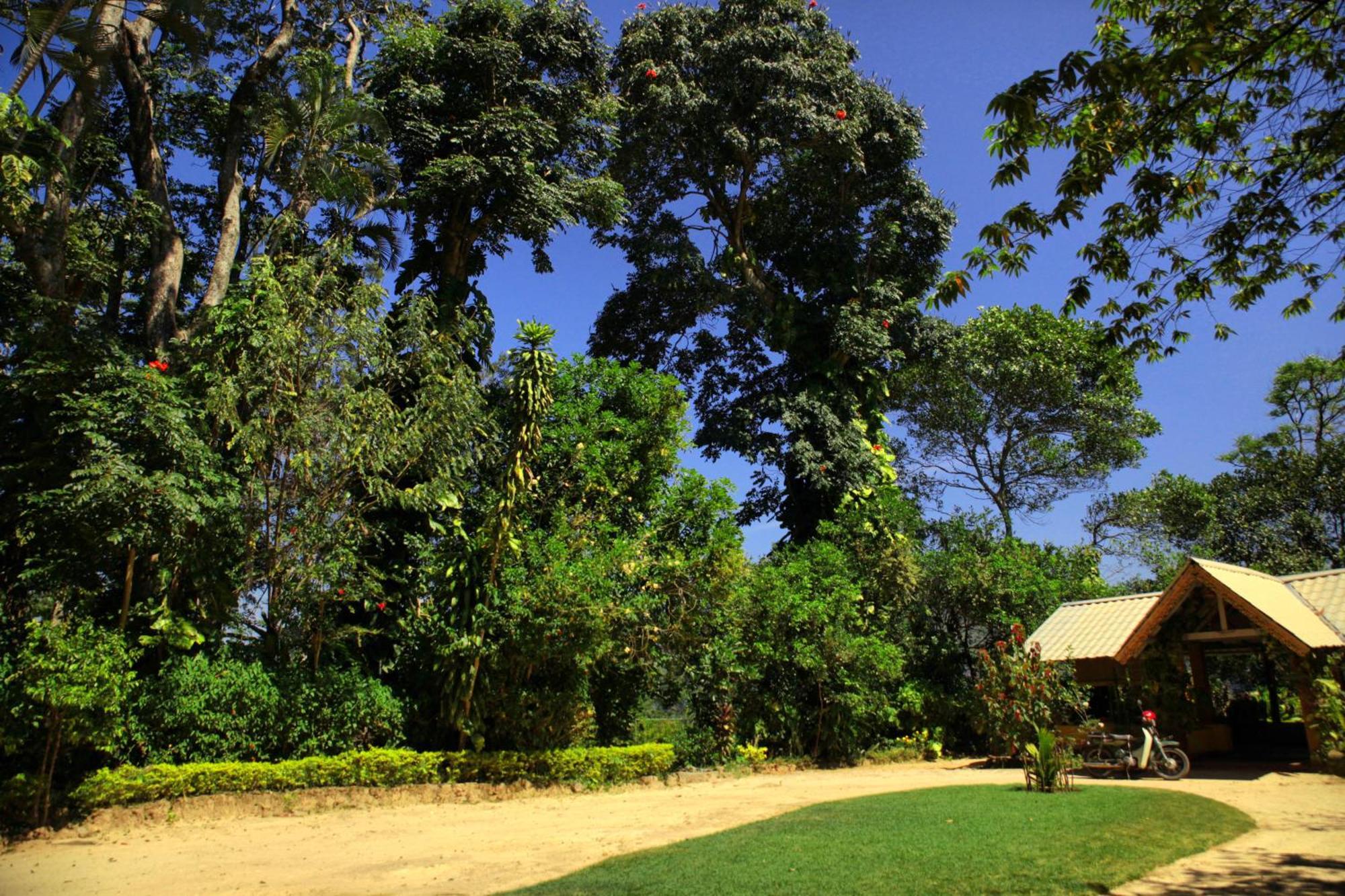 Sunnyside Homestay