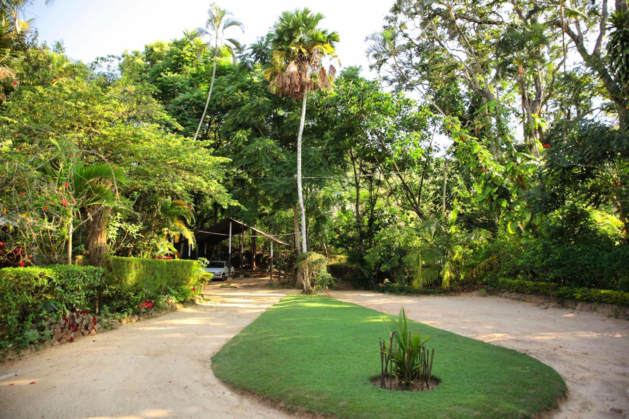 Homestay Sunnyside Ella