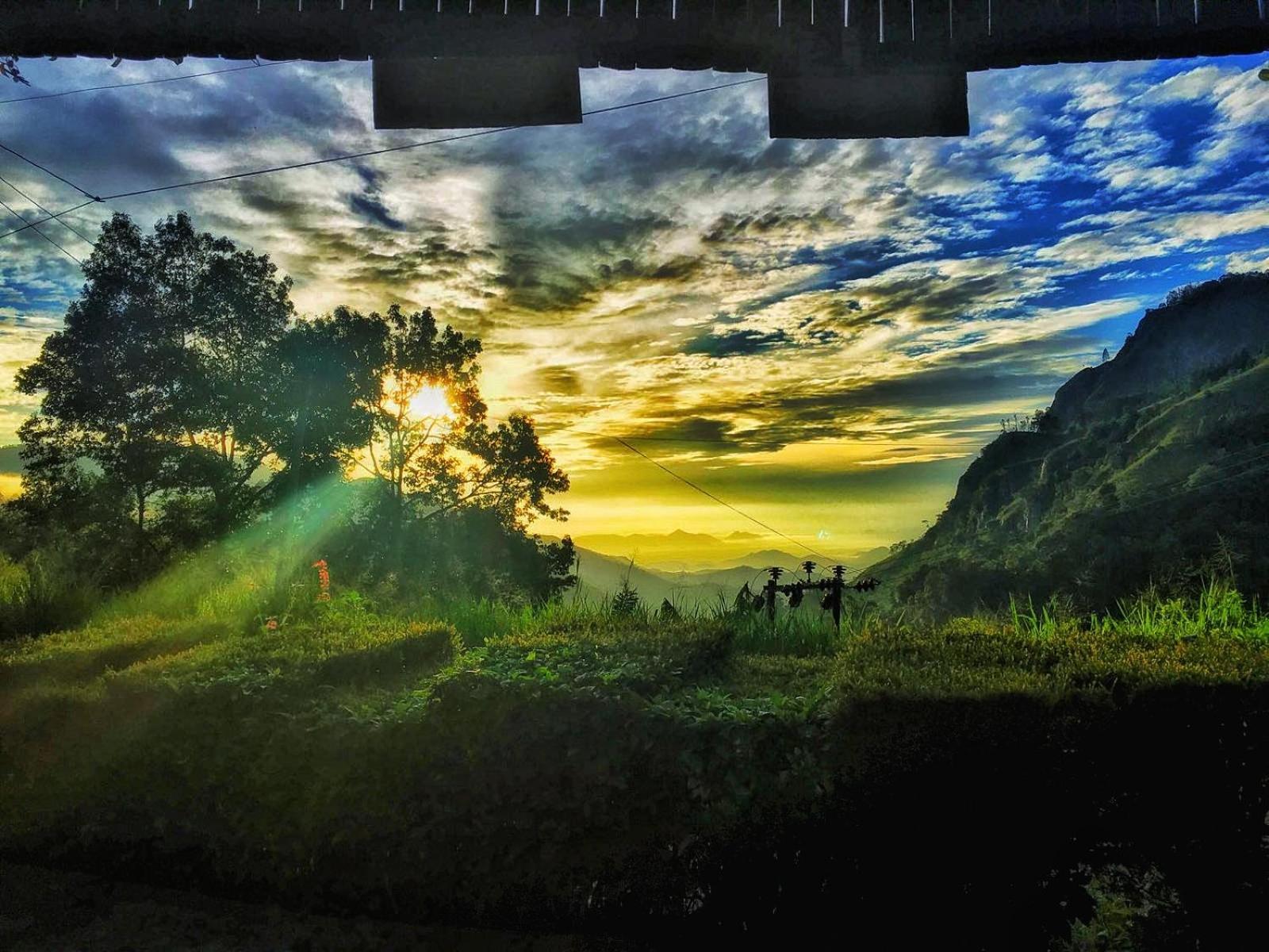 Homestay Happy View