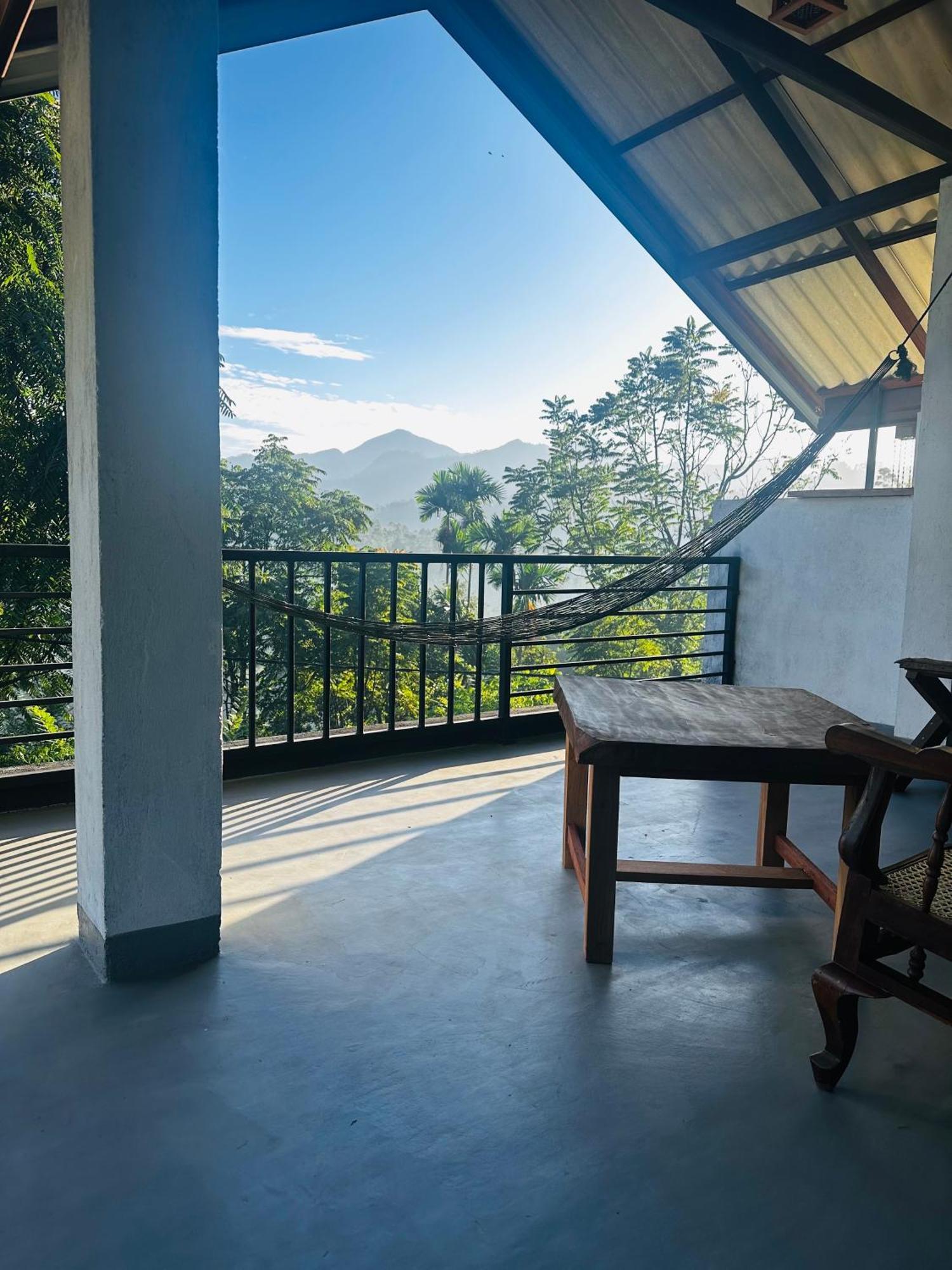 Homestay Festoon