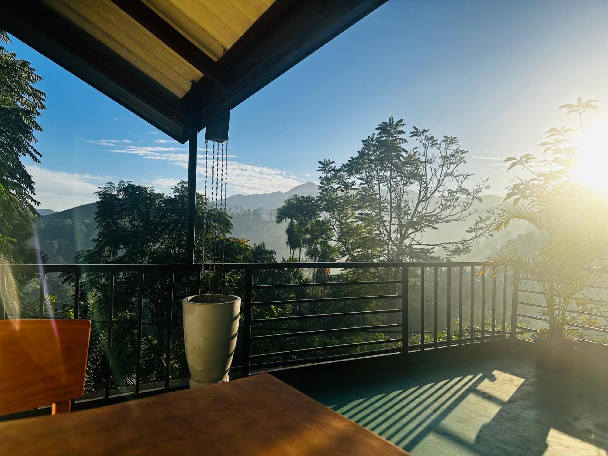Festoon Homestay