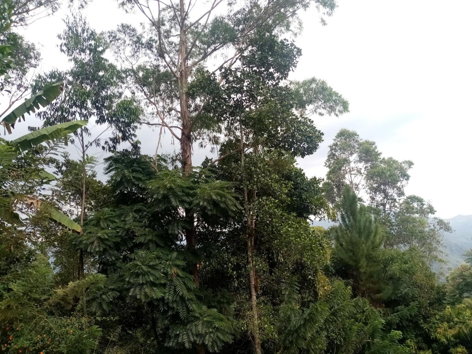 Homestay Apurvi