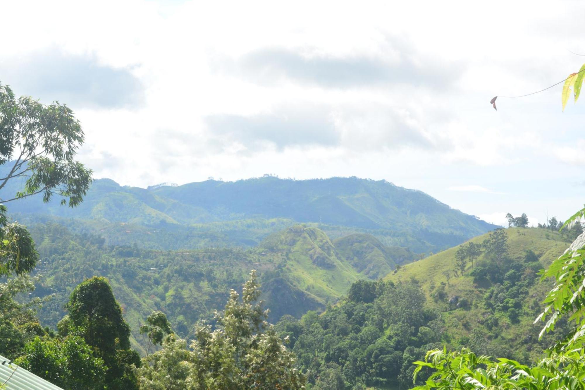 Villa Racy Nature *