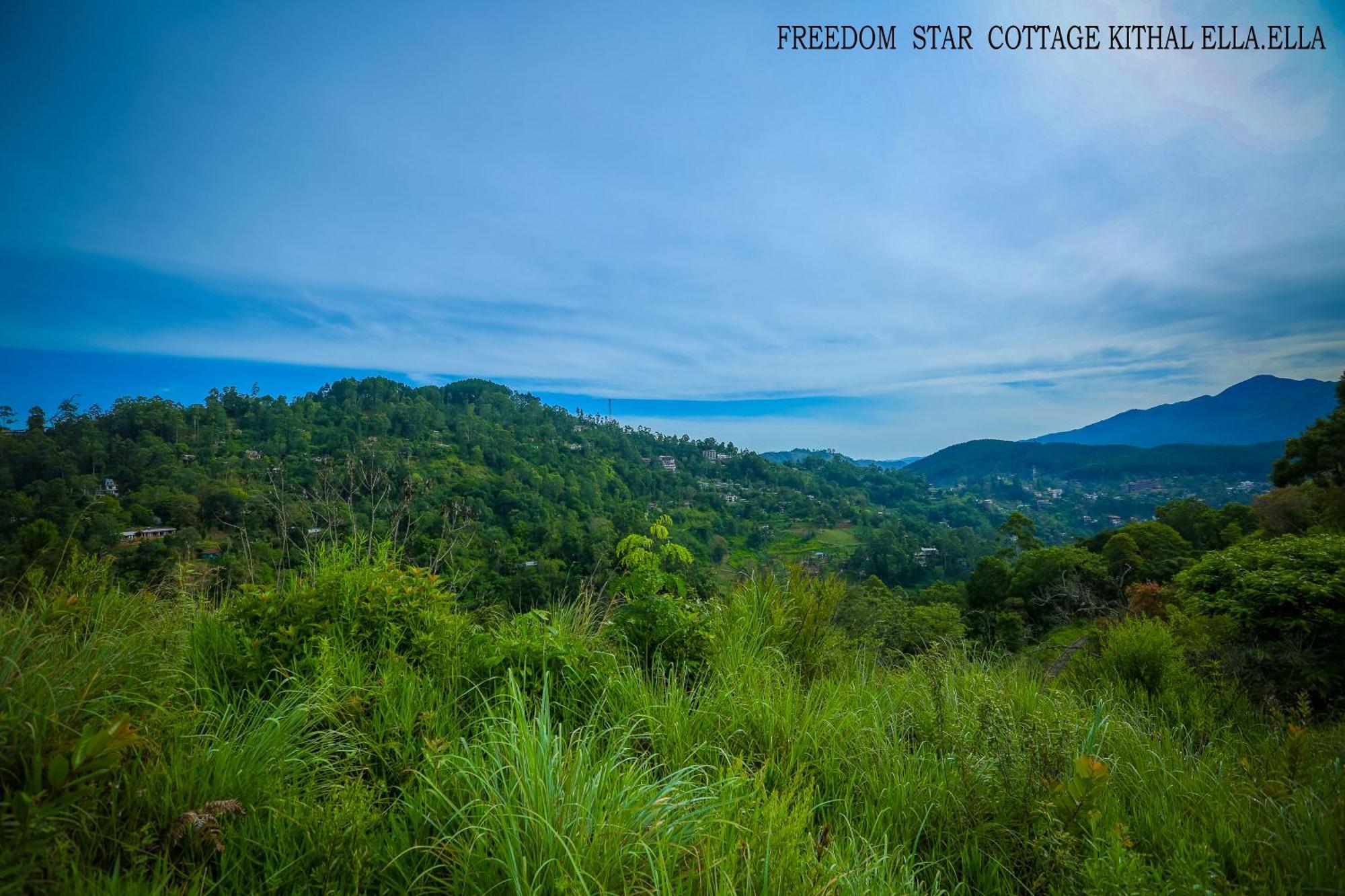 Freedom Star Homestay *