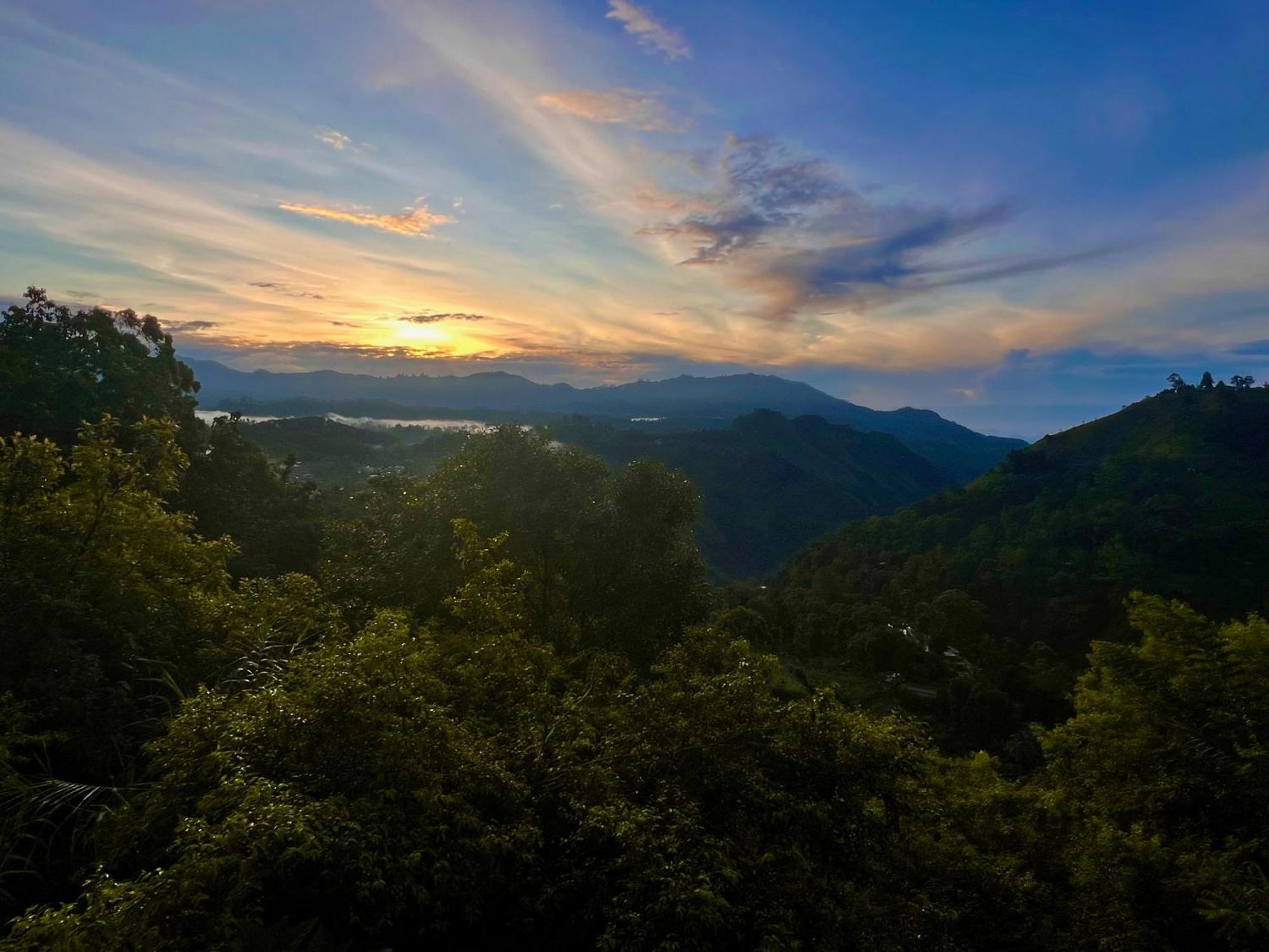Glorious Nature * Ella