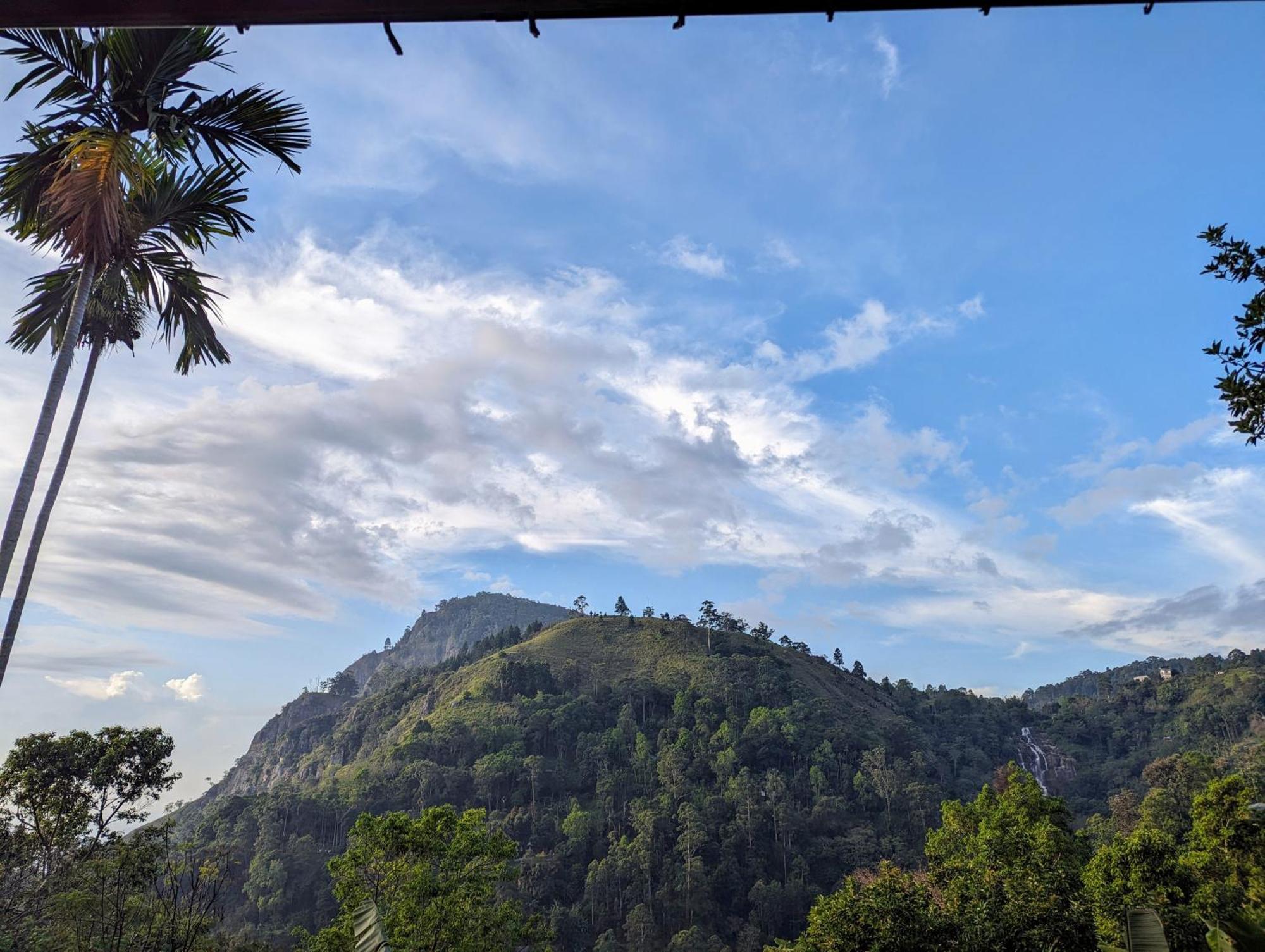 Brilliant View *