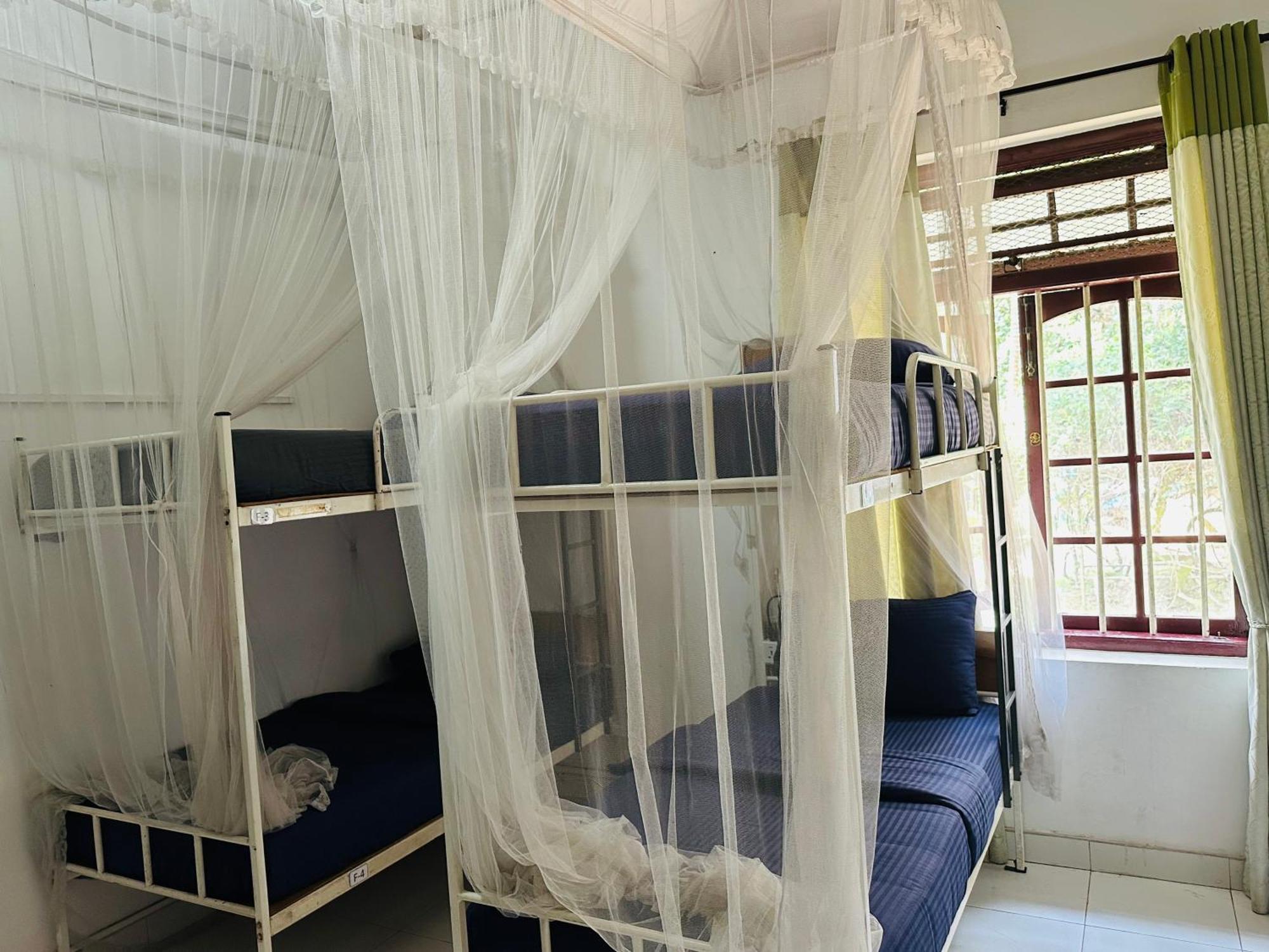Hostel Rock View *