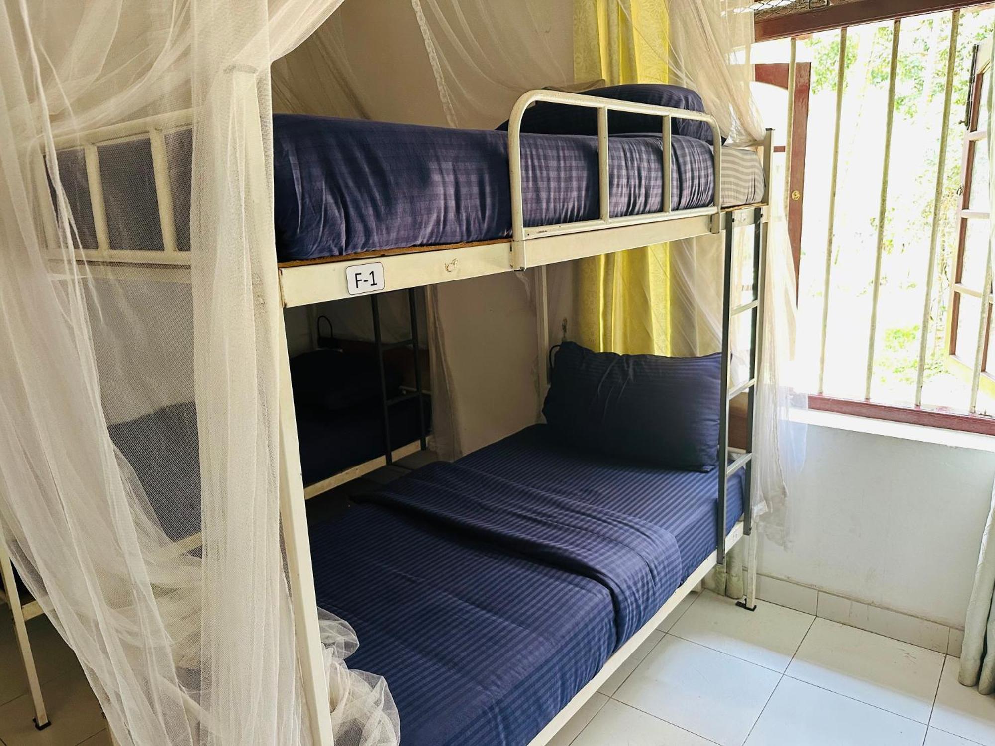 Hostel Rock View *