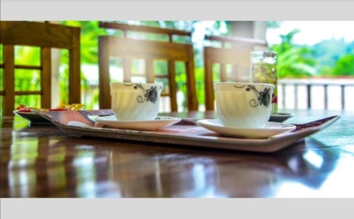 Gems Moon Paradise Homestay Ella