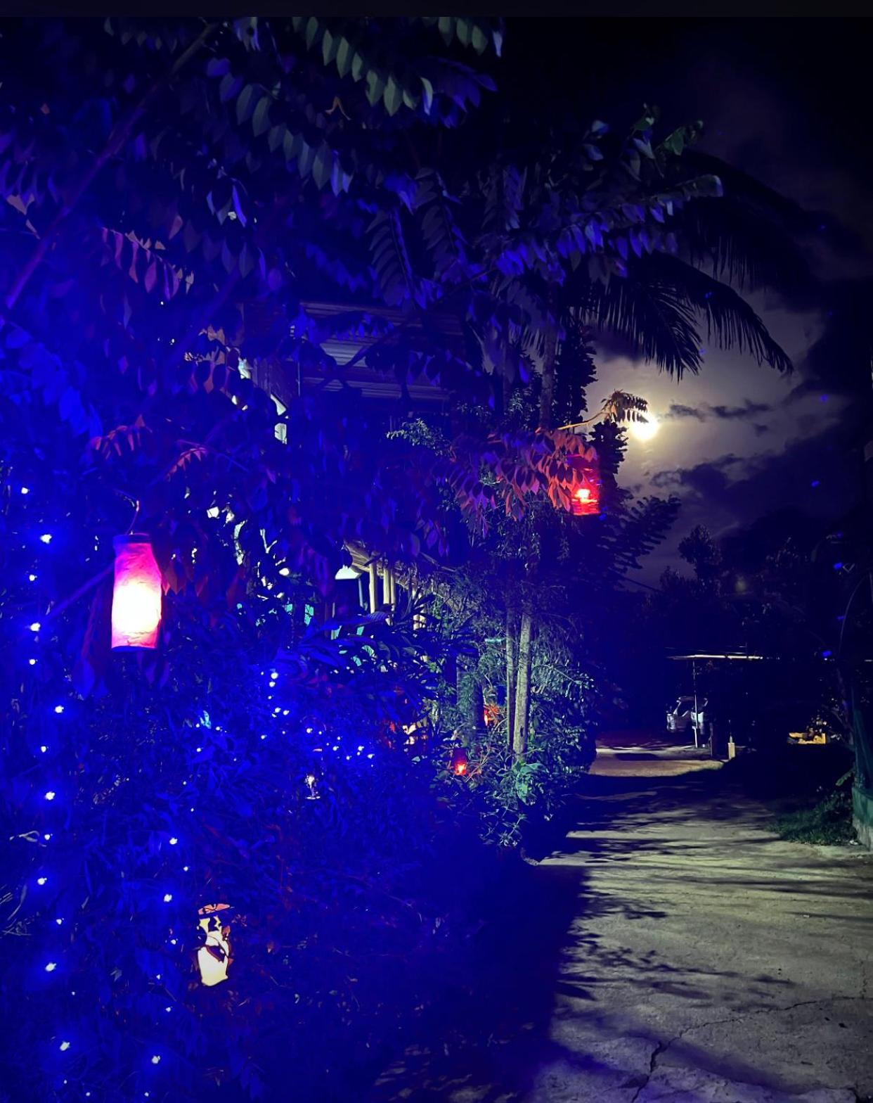 Citadel Of Dreams Homestay