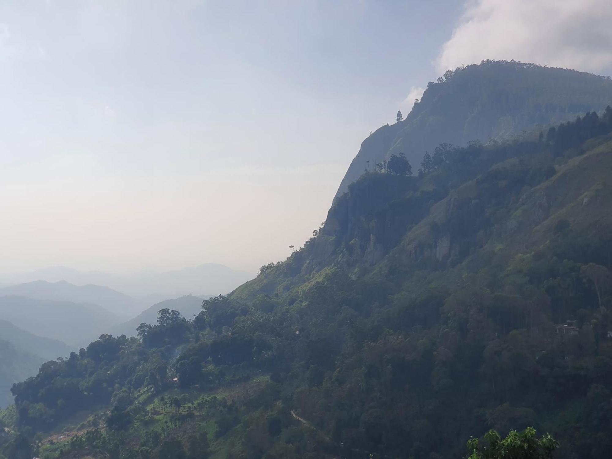 Mount View Guest Homestay