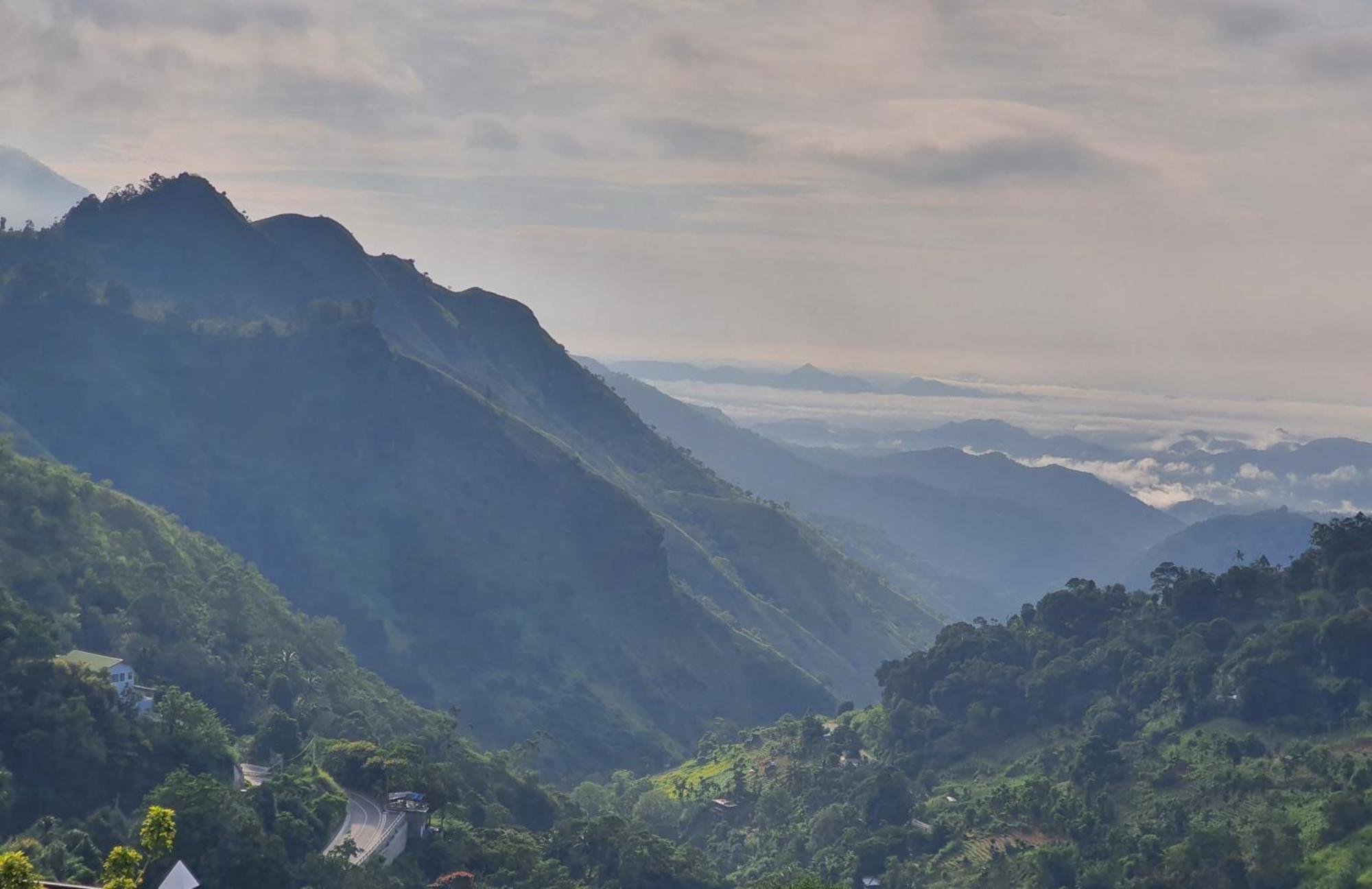 Homestay Mount View Guest