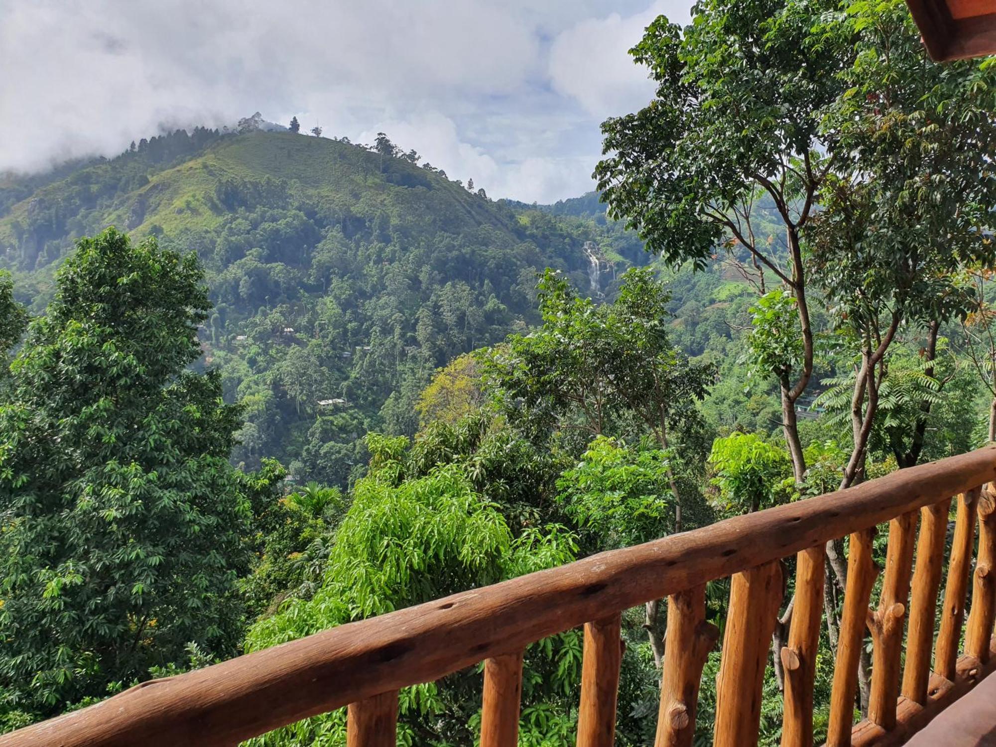 Mount View Guest Homestay *