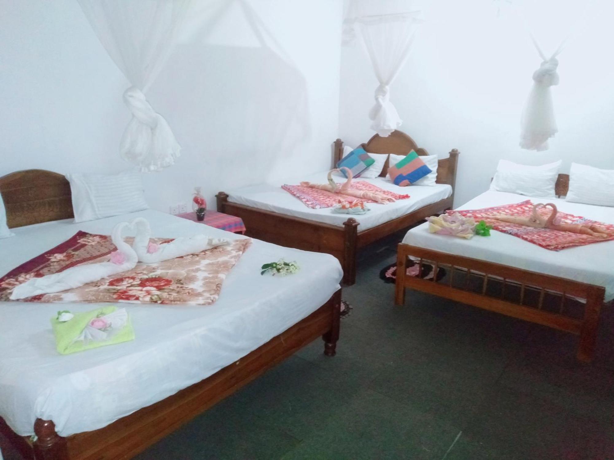 Homestay Tea Land View