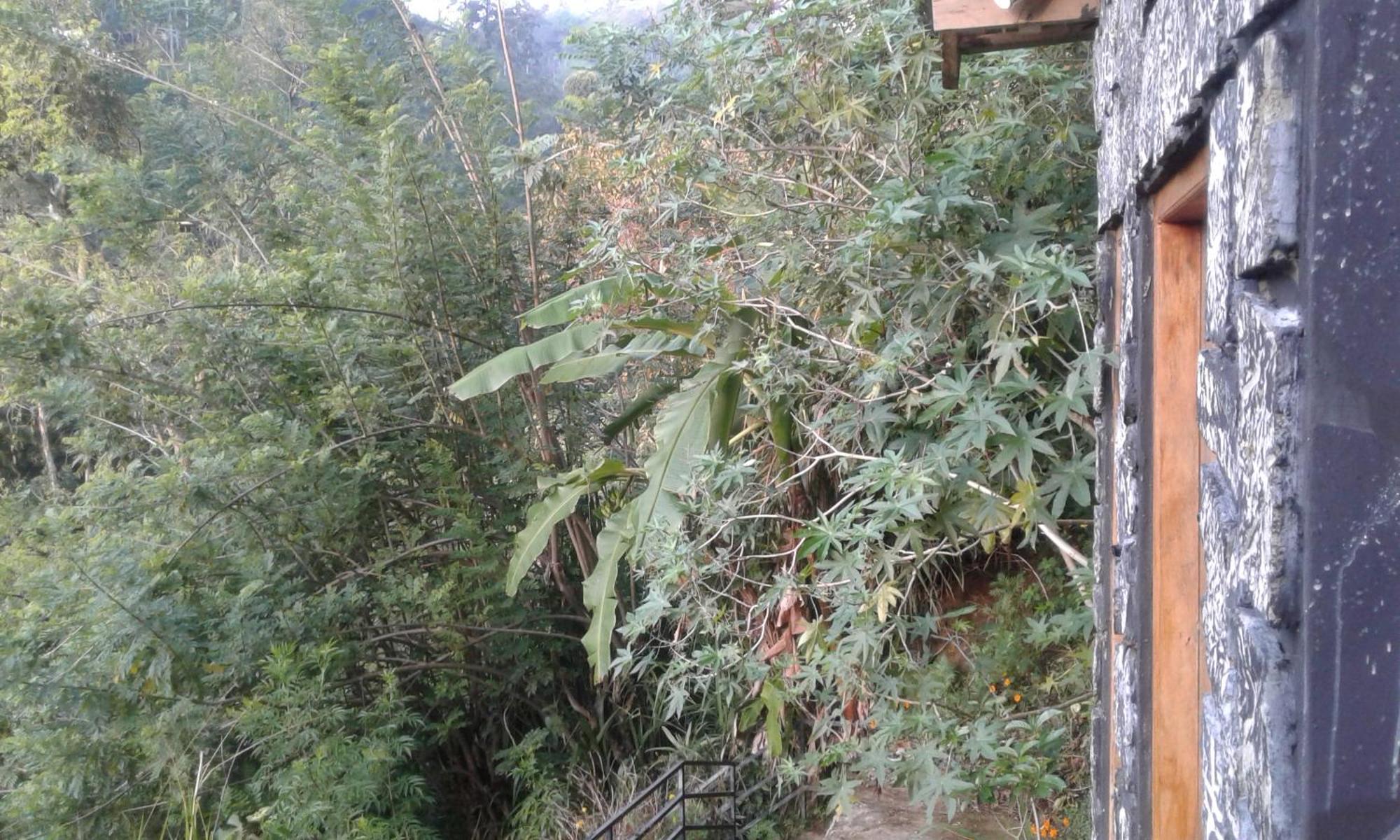 Lucky Panoramic