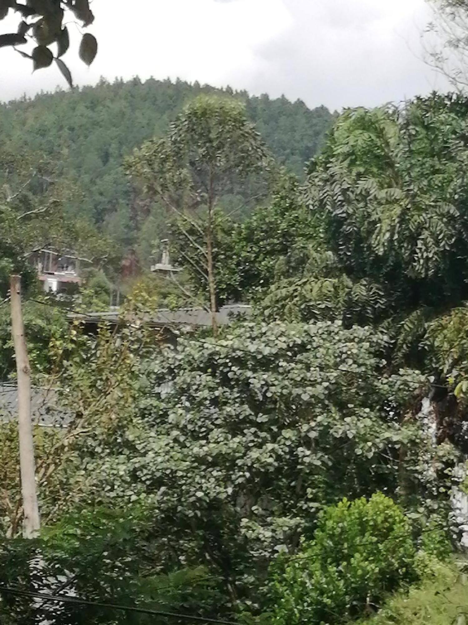 Homestay Sudumal *