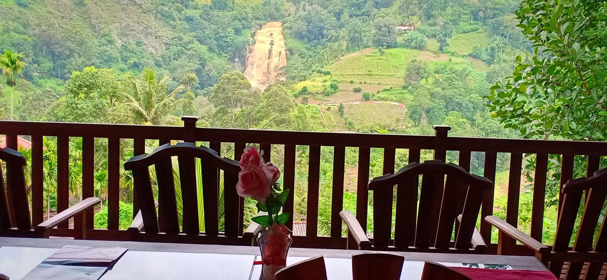 Sen - Rose Homestay