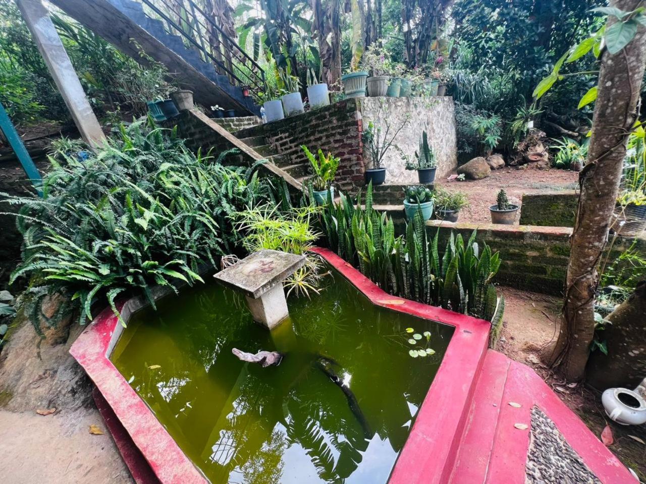 Homestay Rest Full Ella