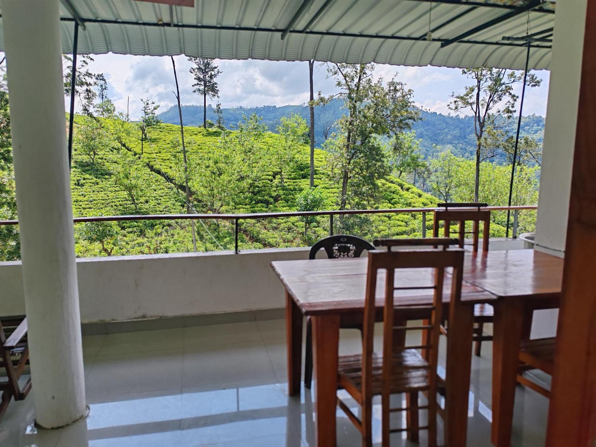 The Tea View Guest Guest house