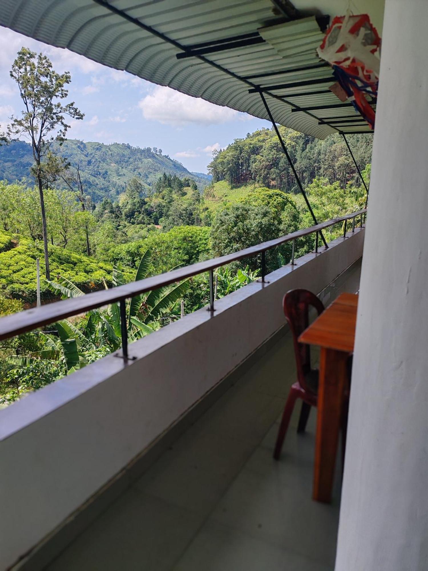 The Tea View Guest