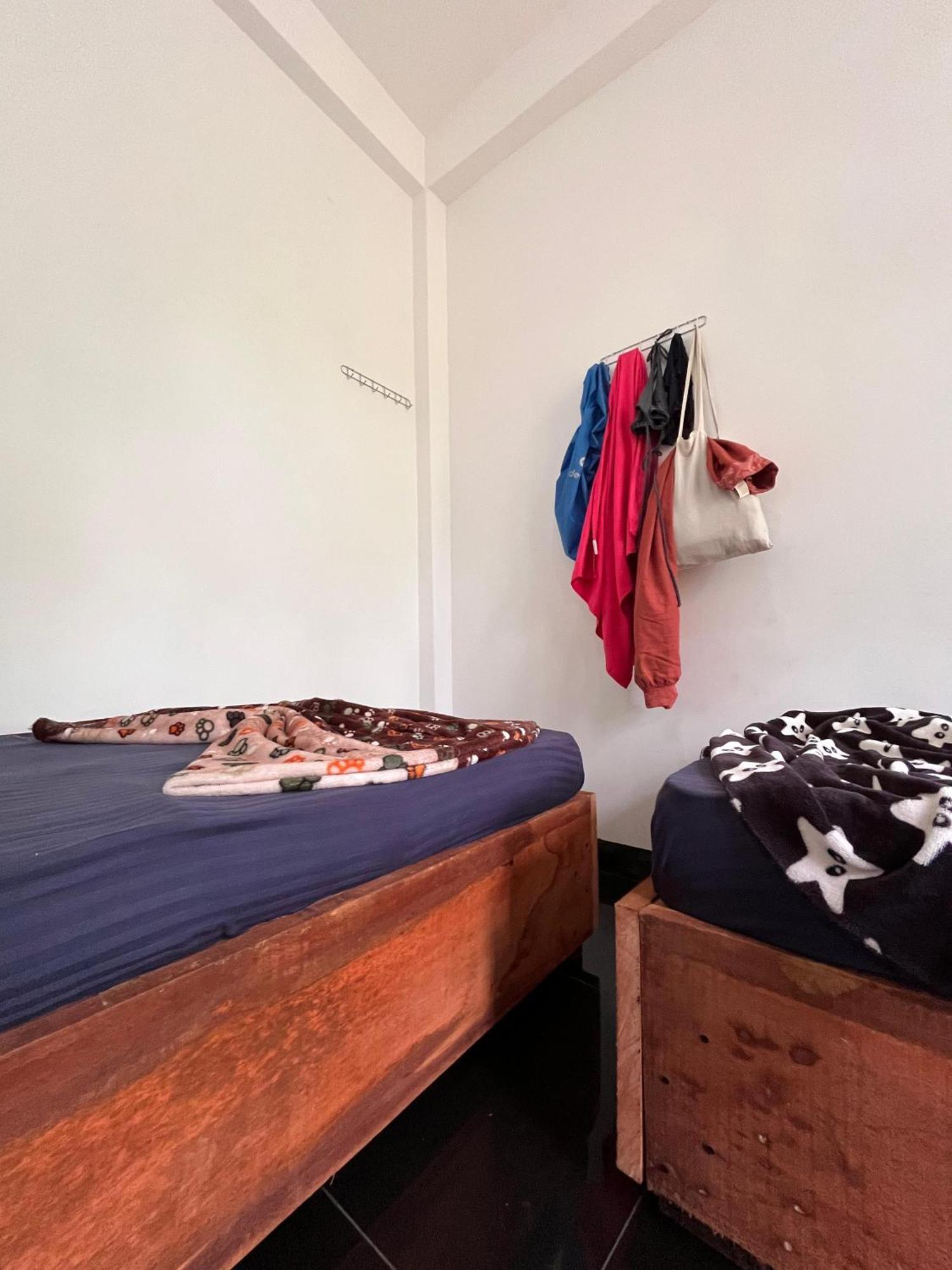 Hostel Backpackers