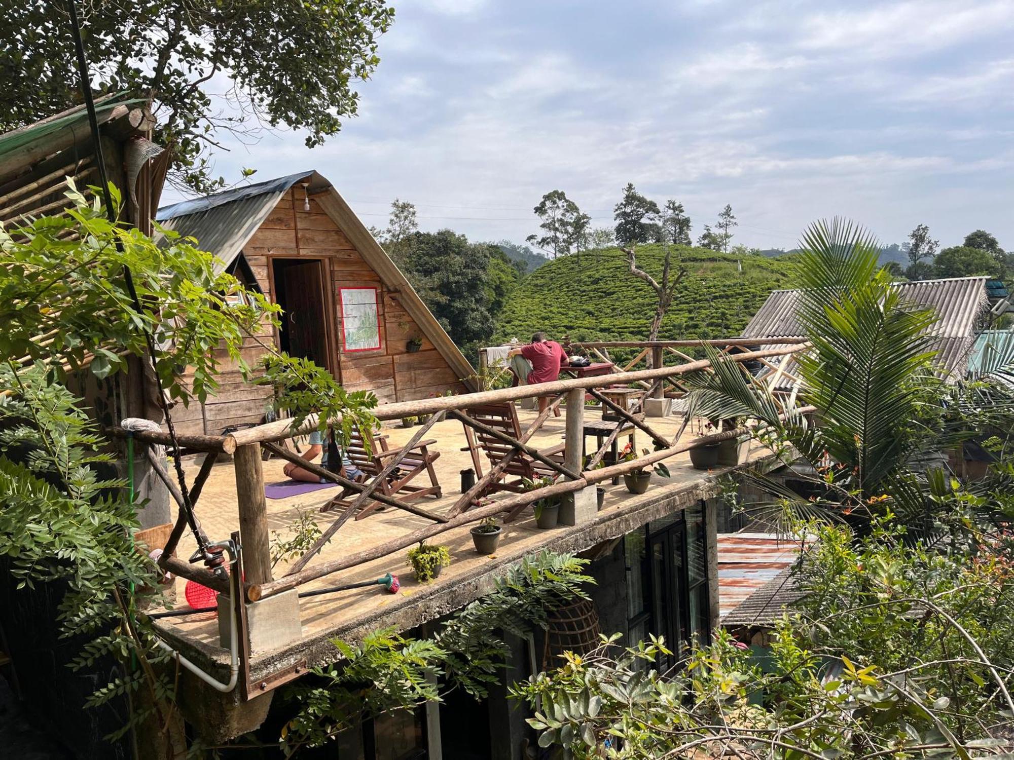 Hostel Backpackers