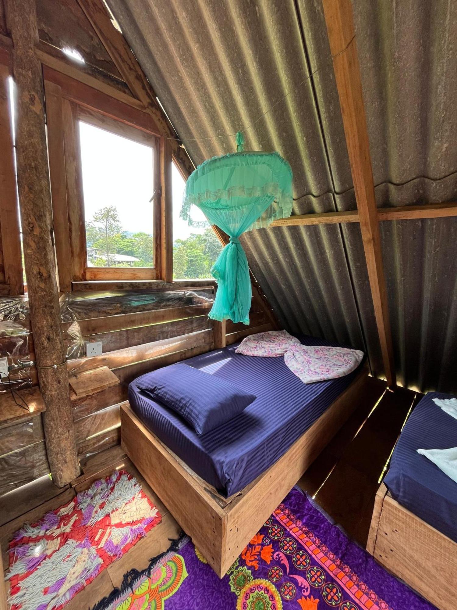 Hostel Backpackers *